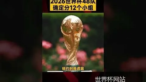 梅西助力阿根廷以2比1战胜巴西，晋级决赛在即